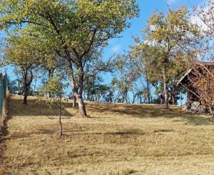 Pozemok nad Belianskym jazerom