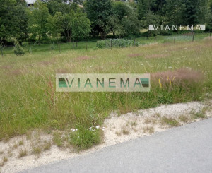 Ponúkame na predaj stavebný pozemok v obci Orlové