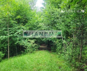 IBA U NÁS! ponúkame pozemok na polosamote Lazy pod Makytou