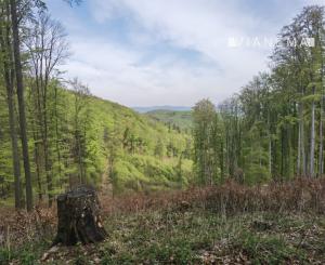 IBA U NÁS! Slnečné pozemky Horovce okres Púchov
