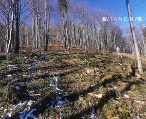 IBA U NÁS! Rekreačné pozemky Dolná Breznica okres Púchov