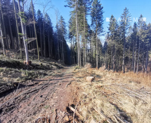 IBA U NÁS! Rekreačné pozemky Dolná Breznica okres Púchov