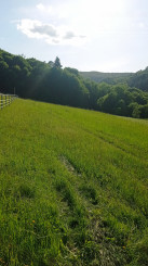 Predaj pozemku, Vieska - Bezdedov mestská časť mesta Púchov