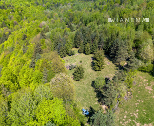 IBA U NÁS! Pozemok na samote v lese - Lazy pod Makytou