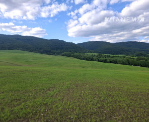 IBA U NÁS! Investičný pozemok na okraji obce Dohňany, Púchov