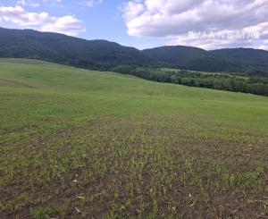 IBA U NÁS! Investičný pozemok na okraji obce Dohňany, Púchov