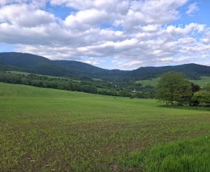 IBA U NÁS! Investičný pozemok na okraji obce Dohňany, Púchov