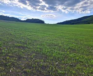 IBA U NÁS! Investičný pozemok na okraji obce Dohňany, Púchov