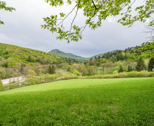 IBA U NÁS! Pozemok na stavbu chaty s výhľadom nad Belušou