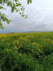 NA PREDAJ slnečný pozemok na výstavbu RD  Beluša,1935m2