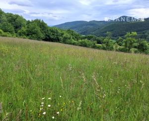 IBA U NÁS! Pozemok s luxusným výhľadom - Zemianske Podhradie