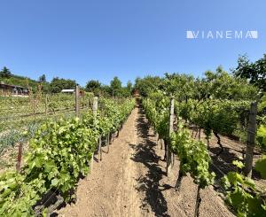 IBA U NÁS! Na predaj Chata - Kráľovský Chlmec