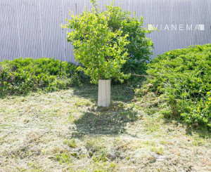 IBA U NÁS! 2-izbový sčasti zrekonštruovaný byt, 40 m2, Ilava