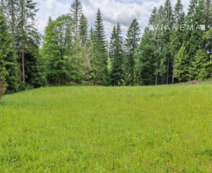 Investičný pozemok - Oravská Lesná 1.625 m²