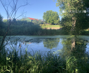NA PREDAJ!  Jedinečný pozemok s vlastným jazerom – Maďarsko