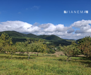 NA PREDAJ! Ovocný sad s krásnym výhľadom - Bošáca,Zabudišová