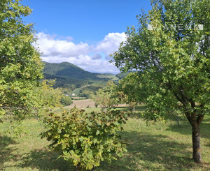 NA PREDAJ! Ovocný sad s krásnym výhľadom - Bošáca,Zabudišová