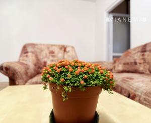 IBA U NÁS! Na predaj 3 izbový priestranný byt, BA-Ružinov