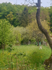 NA PREDAJ! Lukratívny pozemok s chatou v Myslave