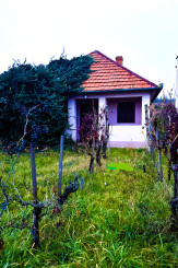 IBA U NÁS! Chata, vinohrad, pozemok, Bátorové Kosihy