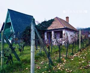 IBA U NÁS! 2X Chata, vinohrad s viničom, Bátorové Kosihy