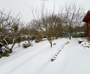 NA PREDAJ záhrada 351m2, chata, Račí potok, Košice