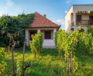 Chata, pivnica, vinič, pozemok 1218m2, Bátorové Kosihy