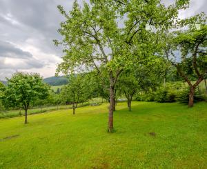 Na predaj stavebný pozemok v obci Čierne pri Čadci - 640m²