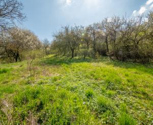 IBA U NÁS! Na predaj stavebný pozemok - 3225m² Varhaňovce