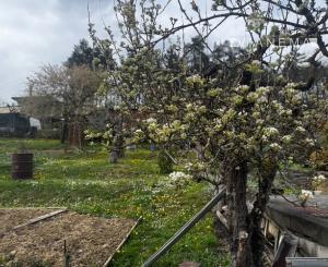 NA PREDAJ !  Záhradka 358m2 SNP Považská Bystrica