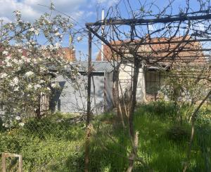 IBA U NÁS !Na predaj 3i dom s pozemkom 958m2, obec Bíňa