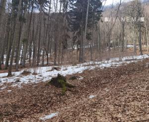 REKREAČNÉ POZEMKY 10 682 m² | Horovce | Púchov