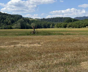Výnimočné rekreačné pozemky 10 682 m², Horovce, Púchov
