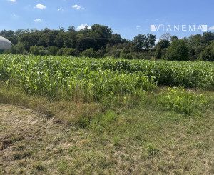 Slnečný investičný pozemok Horovce, Púchov 986 m2