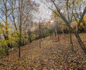Na predaj veľký investičný pozemok Žilina - Vranie 2246 m2