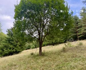 Pozemok - samota v horách nad obcou Lazy pod Makytou, Púchov