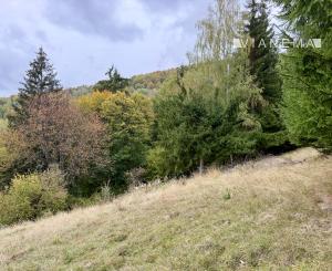 Pozemok - samota v horách nad obcou Lazy pod Makytou, Púchov