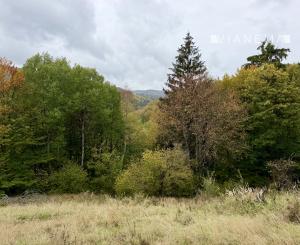 Pozemok - samota v horách nad obcou Lazy pod Makytou, Púchov