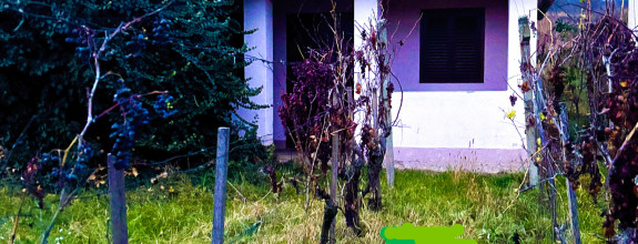 IBA U NÁS! Chata, vinohrad, pivnica, vinič, Bátorové Kosihy