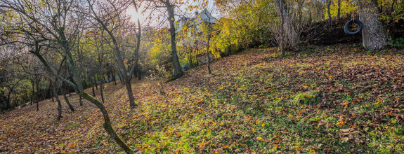 IBA U NÁS! Investičný pozemok Žilina - Vranie 2246 m2