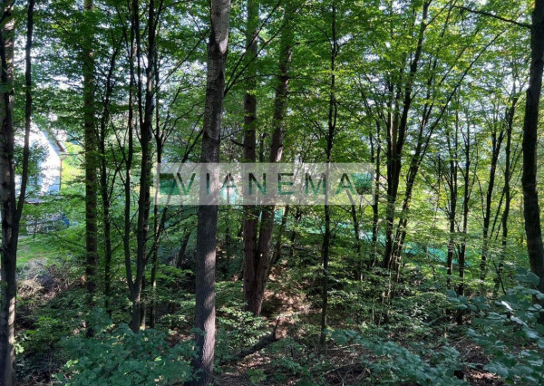 IBA U NÁS! Exkluzívne ponúkame rekreačné pozemky v Žarnovici