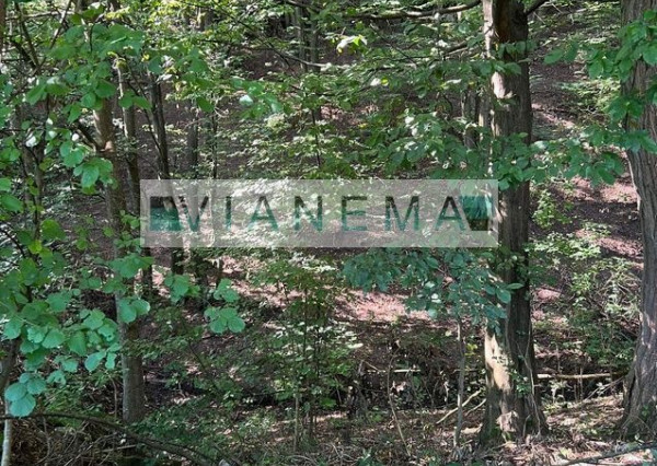 IBA U NÁS! Exkluzívne ponúkame rekreačné pozemky v Žarnovici