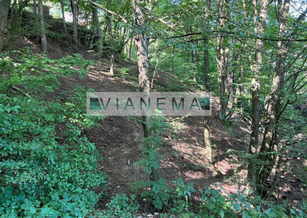 IBA U NÁS! Exkluzívne ponúkame rekreačné pozemky v Žarnovici