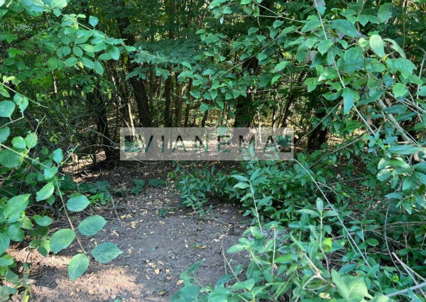 IBA U NÁS! Exkluzívne ponúkame rekreačné pozemky v Žarnovici