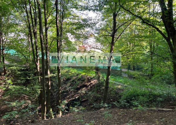 IBA U NÁS! Exkluzívne ponúkame rekreačné pozemky v Žarnovici