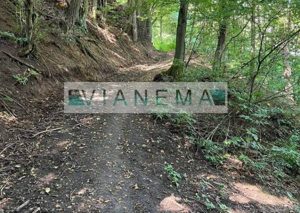 IBA U NÁS! Exkluzívne ponúkame rekreačné pozemky v Žarnovici