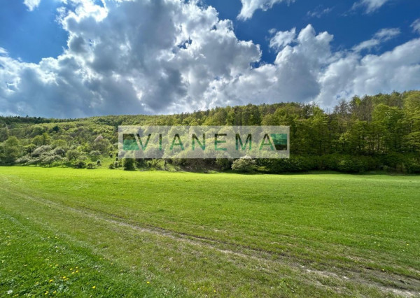 IBA U NÁS! Rekreačný pozemok v Hornej Breznici