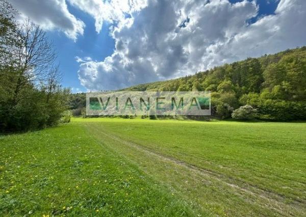 IBA U NÁS! Rekreačný pozemok v Hornej Breznici