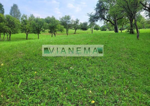 IBA U NÁS! Stavebný pozemok pri lese nad Dolnou Marikovou