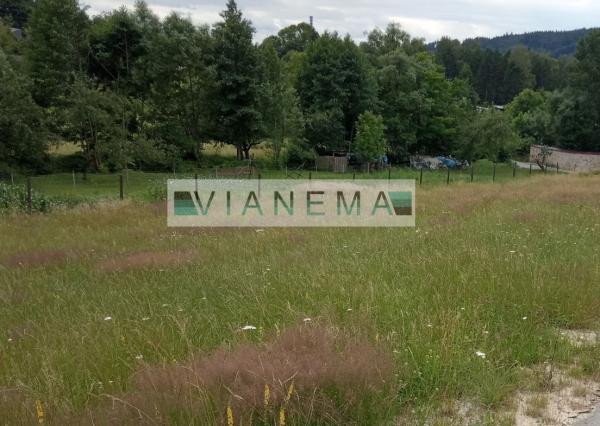 Ponúkame na predaj stavebný pozemok v obci Orlové